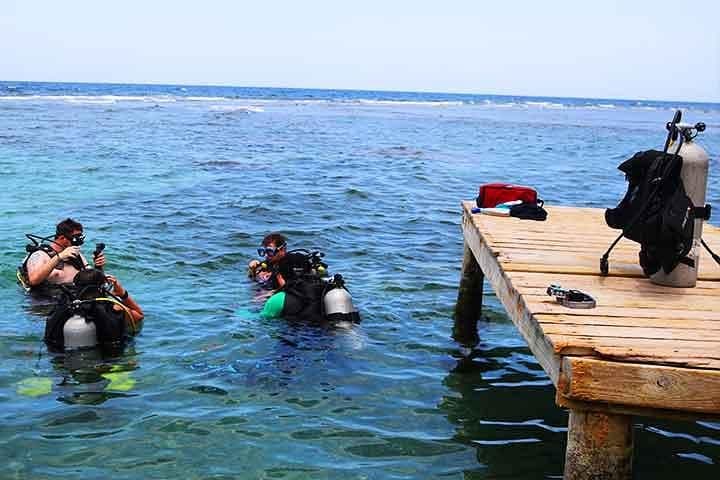 Two-Tank Roatán Shore Dive, Island Lunch & Local Transport photo 2