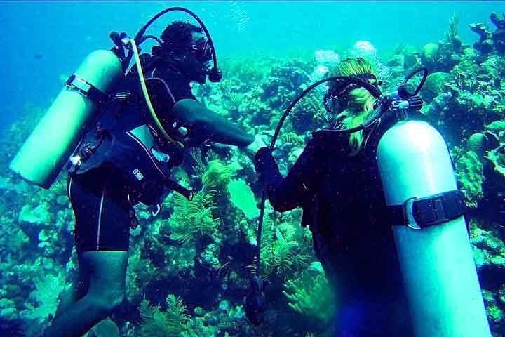 Discover Scuba Diving on Roatán's Coral Reef