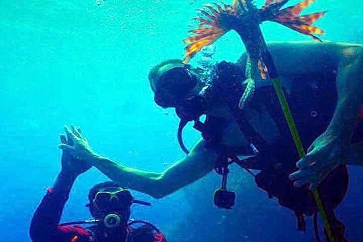 Roatan Sustainable Lionfish Spearfishing Dive — Catch, Learn, and Eat
