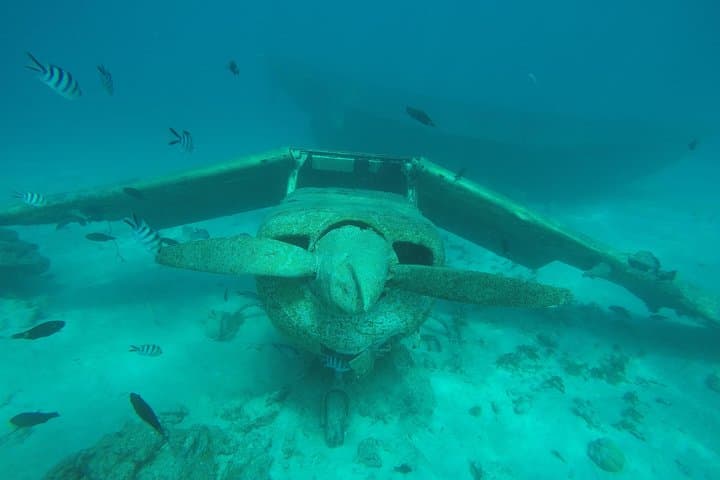 Tahiti Small-Group Snorkel: Wrecks & Tropical Fish from Marina Taina photo 5