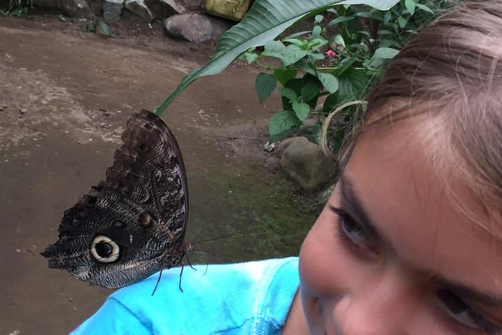 Mindo Cloud Forest Adventure: Waterfalls, Birds & Chocolate Day Tour from Quito photo 2