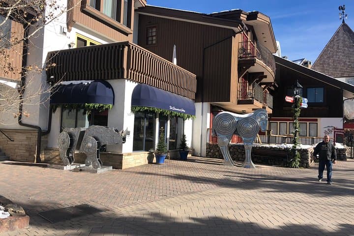Private Custom Tour: Denver Foothills, Dillon & Breckenridge Day Trip photo 6