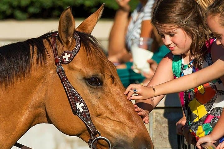 Bourbon & Derby: Makers Mark, Buffalo Trace and Churchill Downs Day Tour