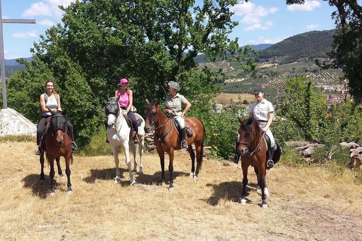 Chianti Horseback Ride and Noble-Estate Wine Tasting from Florence photo 2