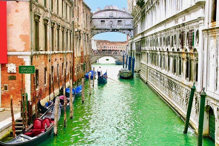 Venice in a Day: Walking Tour, Doge's Palace & Classic Gondola Ride photo 2