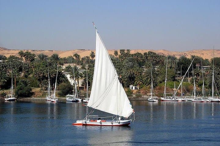 Felucca Sailing on the Nile in Cairo: Private 2–3 Hour Egyptologist-Guided Trip photo 3