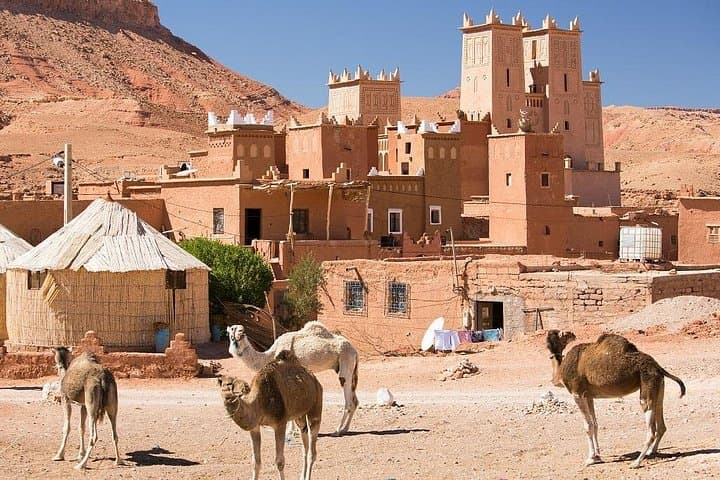 4-Day Ouarzazate Private Tour from Marrakech: Kasbahs, Atlas Pass & Fint Oasis photo 2
