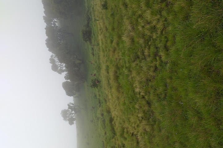4-Day Simien Mountains Trek: Sankaber to Buwahit Peak (Ethiopia) photo 2