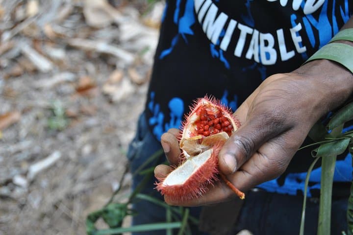 Zanzibar Spice and Fruit Tour — Hands-On Farm Walk from Stone Town photo 6