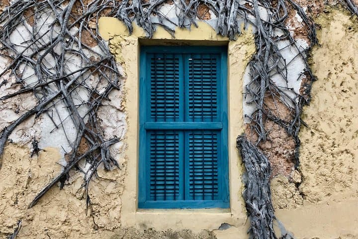 Prison Island Tour (Changuu) from Stone Town: Tortoises, Snorkeling & History photo 4