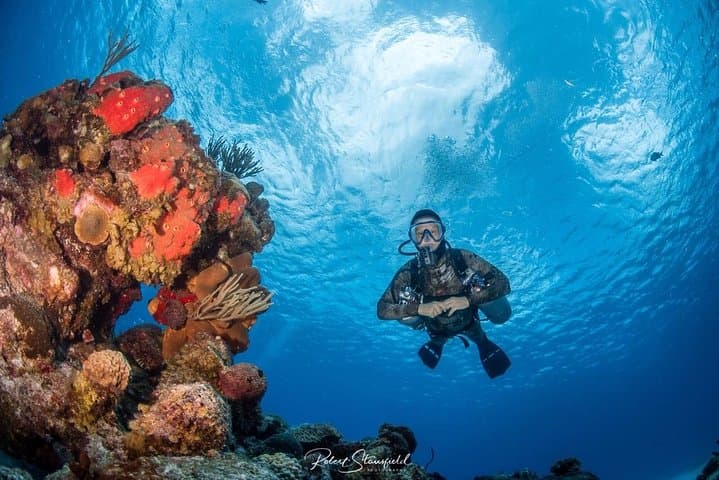 Introductory Scuba in Cozumel Marine Park: Private Pool Training & Two Reef Dives photo 2