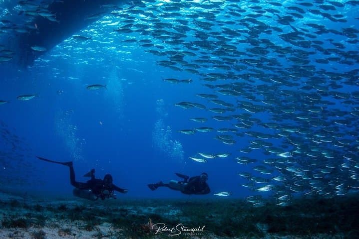 Introductory Scuba in Cozumel Marine Park: Private Pool Training & Two Reef Dives photo 5