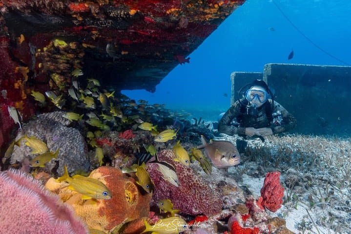 Introductory Scuba in Cozumel Marine Park: Private Pool Training & Two Reef Dives