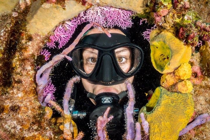 Introductory Scuba in Cozumel Marine Park: Private Pool Training & Two Reef Dives photo 4