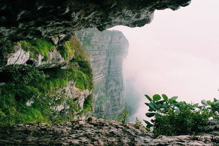 West Salalah Full-Day Tour: Al-Maghsail, Frankincense Trees & Ittin Mountain photo 5