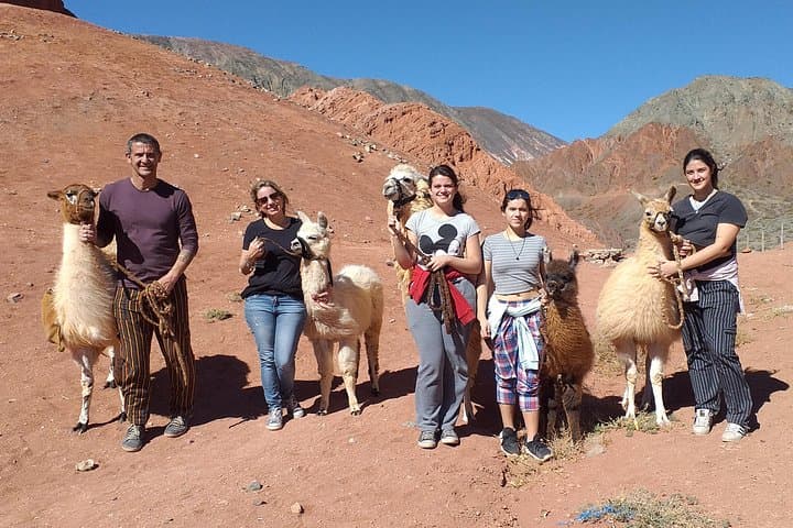 Purmamarca Walk with Llamas: Guided Llama Walk & Geology Tour near Cerro de los Siete Colores photo 4