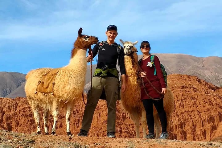 Purmamarca Walk with Llamas: Guided Llama Walk & Geology Tour near Cerro de los Siete Colores photo 5