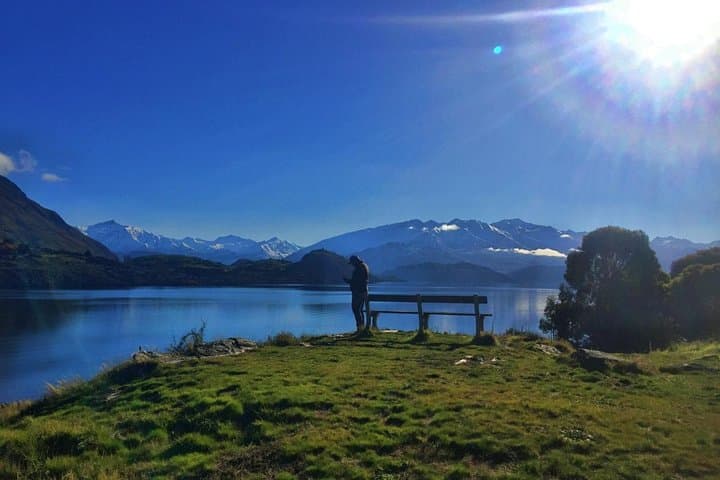 Ruby Island Cruise and Walk: 1-Hour Scenic Lake Wanaka Boat Tour photo 3