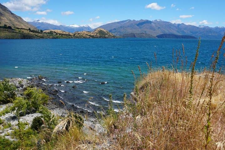 Ruby Island Cruise and Walk: 1-Hour Scenic Lake Wanaka Boat Tour photo 6