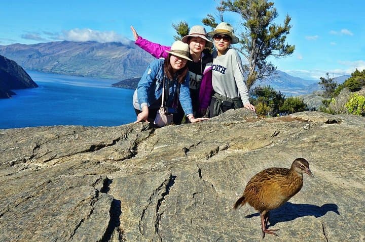Mou Waho Island Cruise & Summit Lake Walk — Wanaka Nature Reserve Tour photo 3