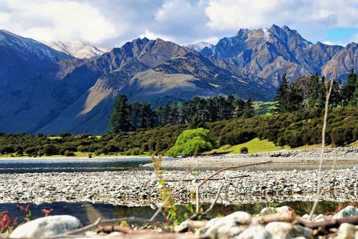 Stevensons Island Cruise and Summit Nature Walk from Wanaka photo 3