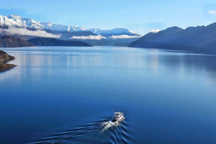 Stevensons Island Cruise and Summit Nature Walk from Wanaka