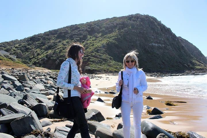 Royal National Park Private Tour — Wedding Cake Rock, Wattamolla & Wildlife photo 4