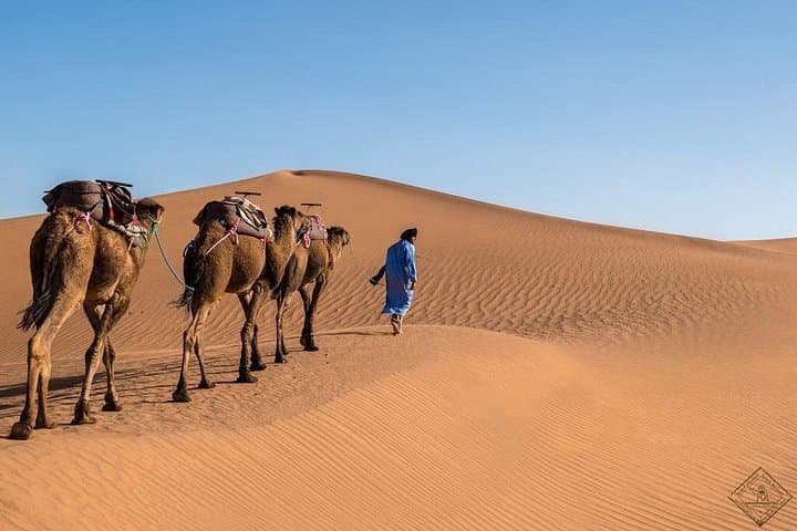 3-Day Luxury Sahara Desert Tour from Marrakech — Merzouga Camel Trek & Luxury Camp photo 4