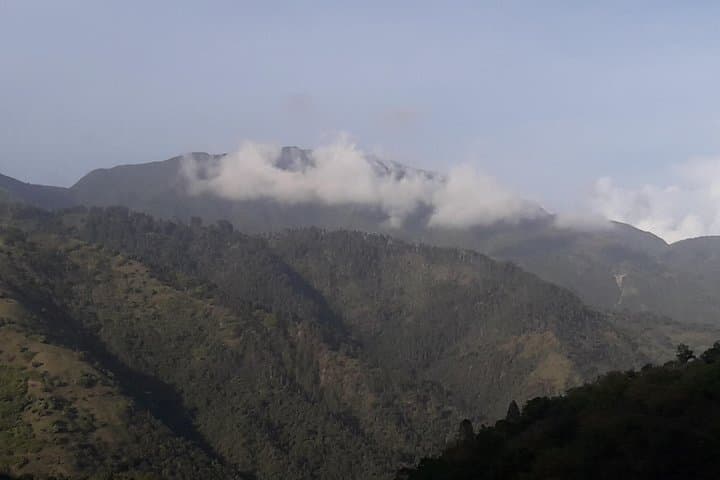 Blue Mountain Guided Nature Tour from Kingston — Waterfalls, Barracks & Cloud Forest Views photo 4