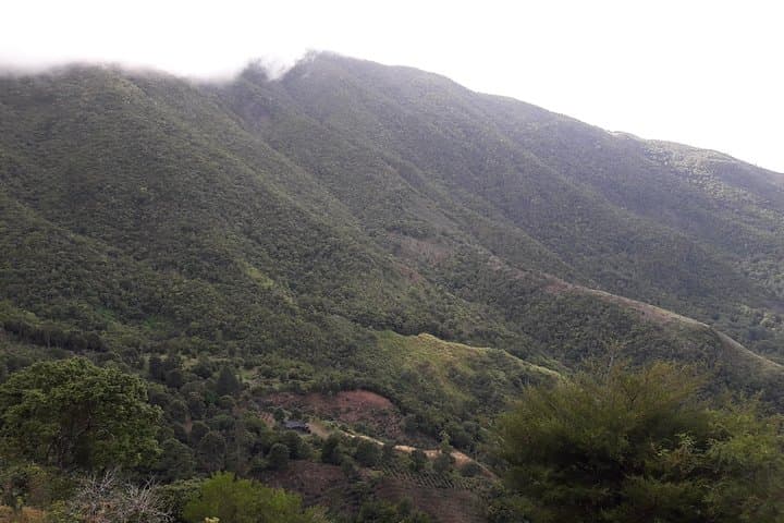 Blue Mountain Guided Nature Tour from Kingston — Waterfalls, Barracks & Cloud Forest Views photo 5