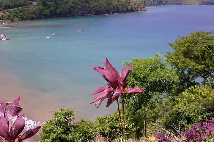 Tet Paul Nature Trail St Lucia: Soufrière Hike with Piton Views photo 6