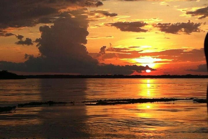 3-Day Amazon Jungle Experience from Iquitos – Lupuna Lodge photo 6