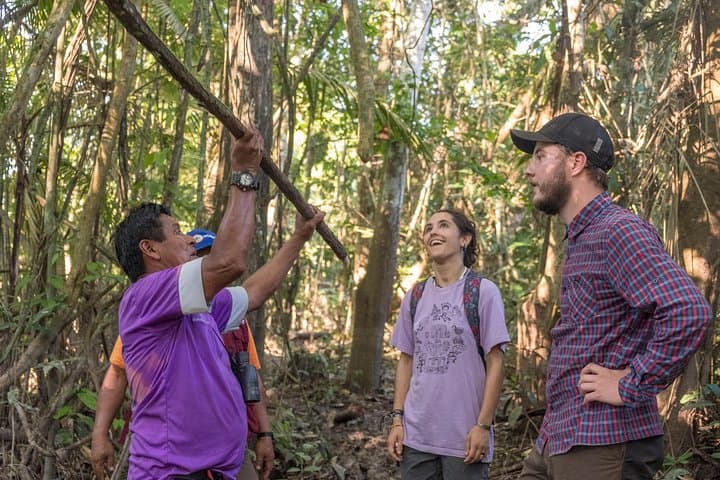 3-Day Amazon Jungle Experience from Iquitos – Lupuna Lodge photo 3