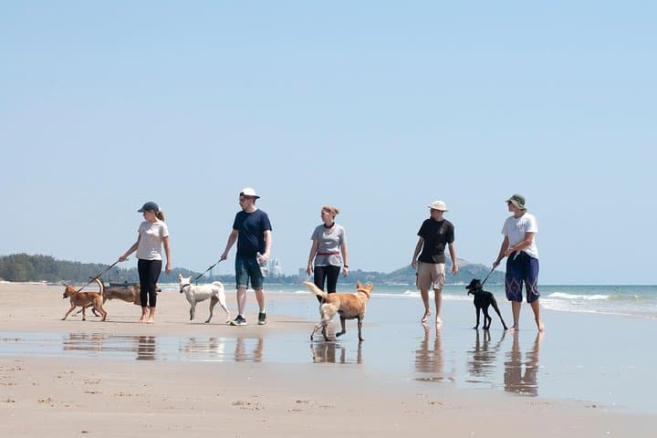 Volunteer with Rescue P.A.W.S.: Hua Hin Dog Day Visit & Beach Walk photo 4