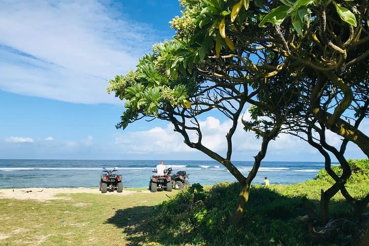 South Mauritius 35km Quad Excursion — Beaches, Natural Bridge & Royal Palms photo 6