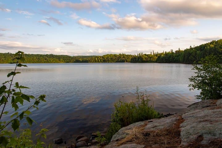 All-Inclusive Algonquin Backcountry Canoe Trip: Guided 2-Day Wilderness Canoeing photo 5