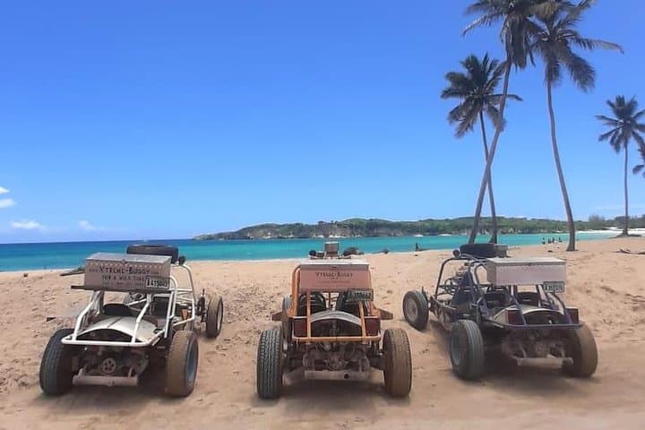 Thrilling Dune Buggy Adventure through the Dominican Countryside