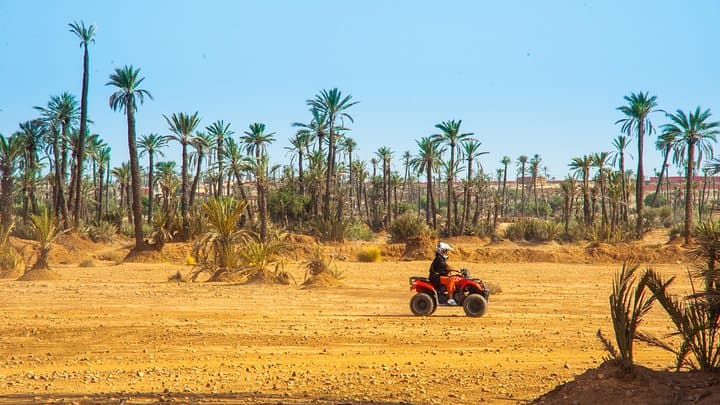 Quad Biking in Marrakech Palmeraie: 2-Hour Palm Grove Adventure photo 6