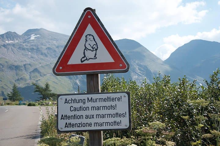 private-grossglockner-tour-high-alpine-road-viewpoint-and-wildlife photo 5