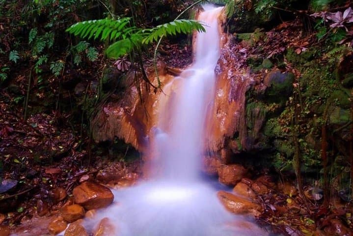 Blue River Hot Springs Adventure — Rincon de la Vieja Waterfalls, Mud Baths & Volcano Views photo 4