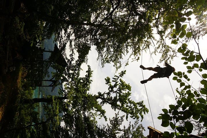 Waldseilpark Wörthersee: High-Ropes Adventure Over Lake Wörthersee photo 2