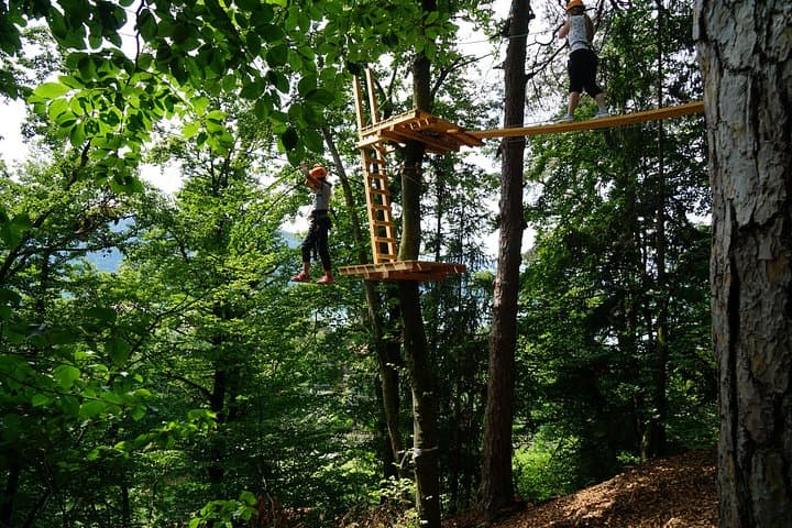 Waldseilpark Wörthersee: High-Ropes Adventure Over Lake Wörthersee photo 3