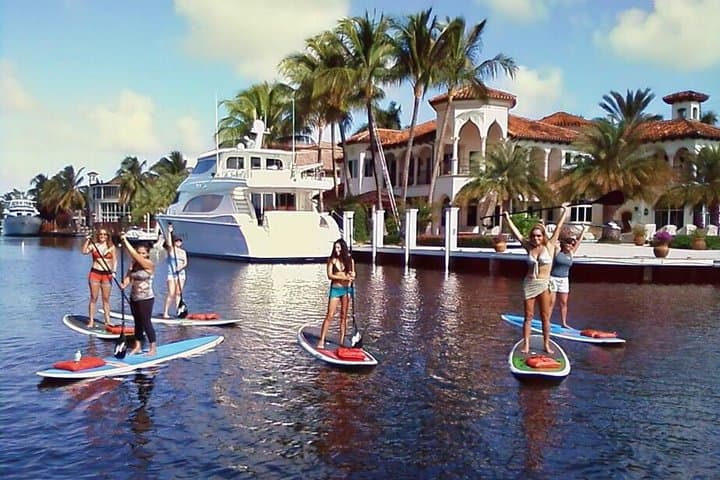 Island City ECO Paddle: Fort Lauderdale Mangrove SUP Lesson at a 9.3-Acre Nature Preserve photo 6