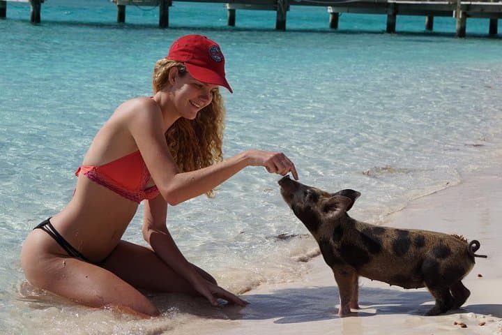Powerboat to Allens Cay & Ship Channel Cay — Exuma Day Adventure photo 3