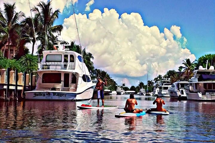 Fort Lauderdale Seven Isles Mangrove Eco Paddle: Kayak & SUP Tour to Bonnet House photo 3