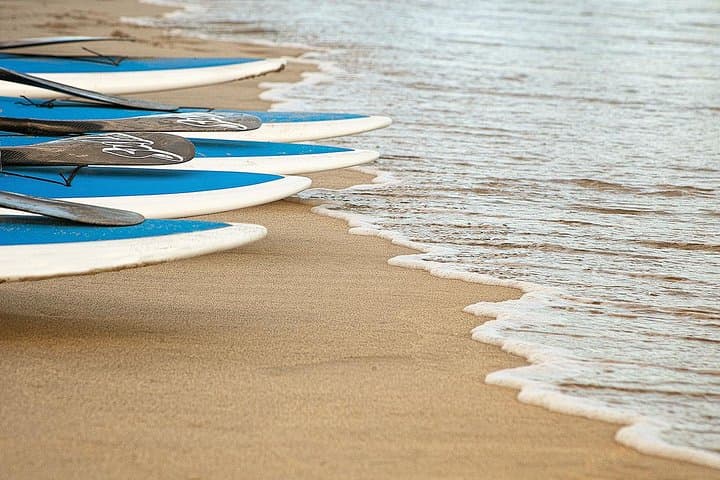 Stand-Up Paddleboarding in San Lucas Bay: 1-Hour SUP Rental Guide