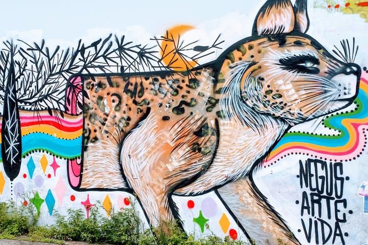 San José Walking Tour: Insider Spots & City Highlights photo 4
