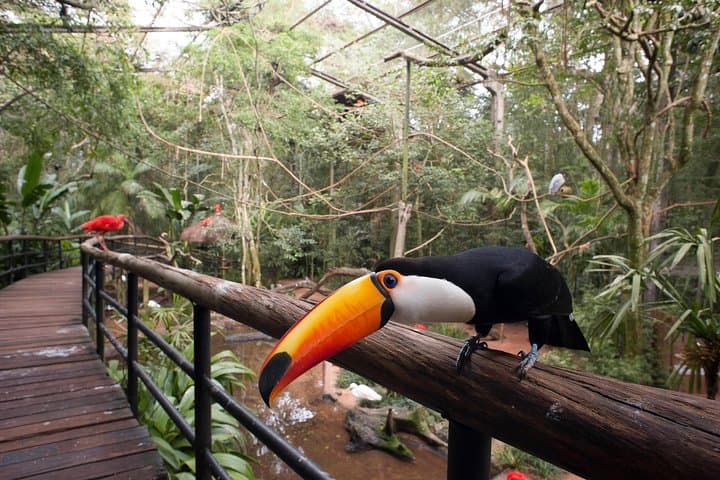 Explore Iguassu Falls & Parque das Aves: Brazilian-Side Private Tour from Puerto Iguazú photo 4