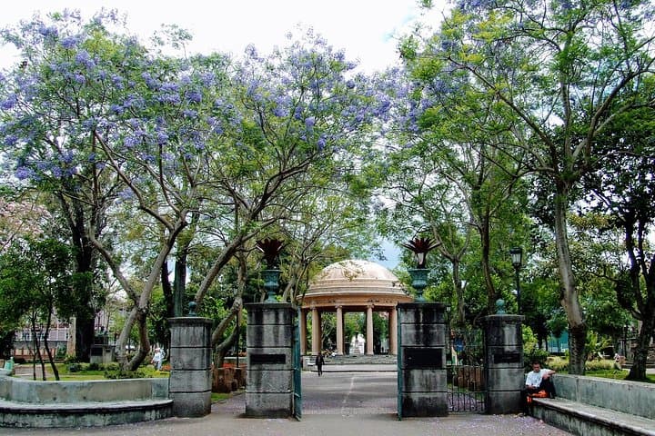 San José Walking Tour: Insider Spots & City Highlights photo 6