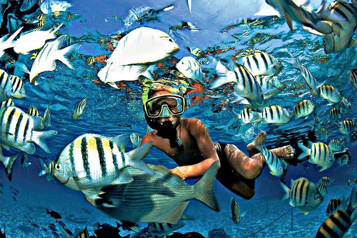 Lauderdale-by-the-Sea Reef Snorkel & Ocean Paddle Adventure photo 5